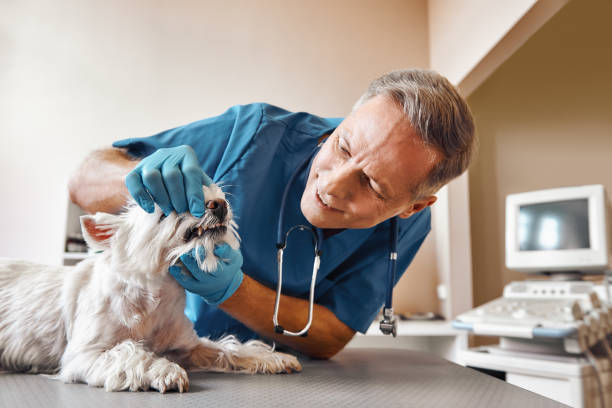 Best Emergency Tooth Extraction in Ruckersville, VA